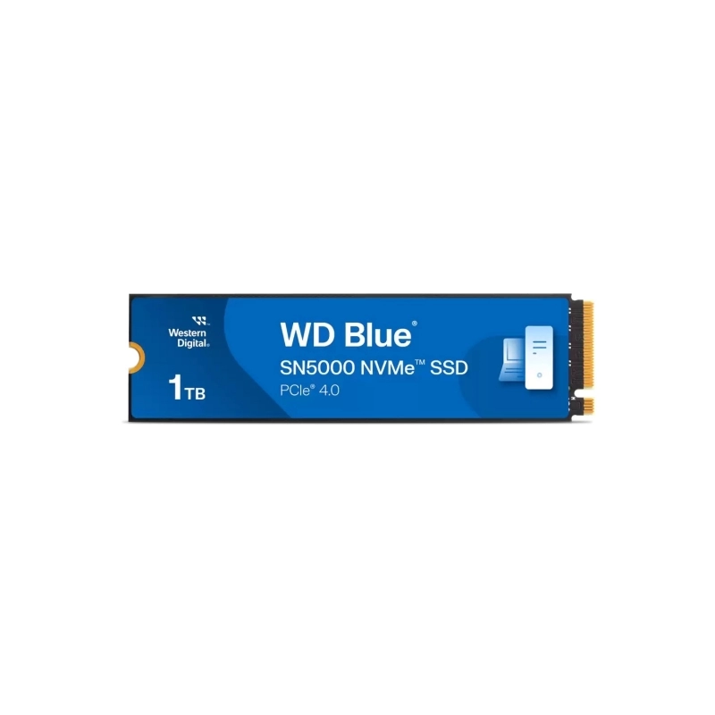 WDS100T4B0E-00CNZ0-1
